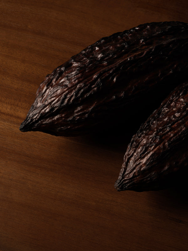 Une autre manière de découvrir le cacao
